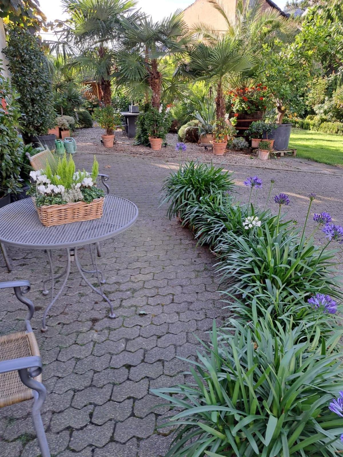 Landhauskiebel Erden Dış mekan fotoğraf